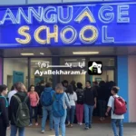 طراحی سایت آموزشگاه زبان در اراک